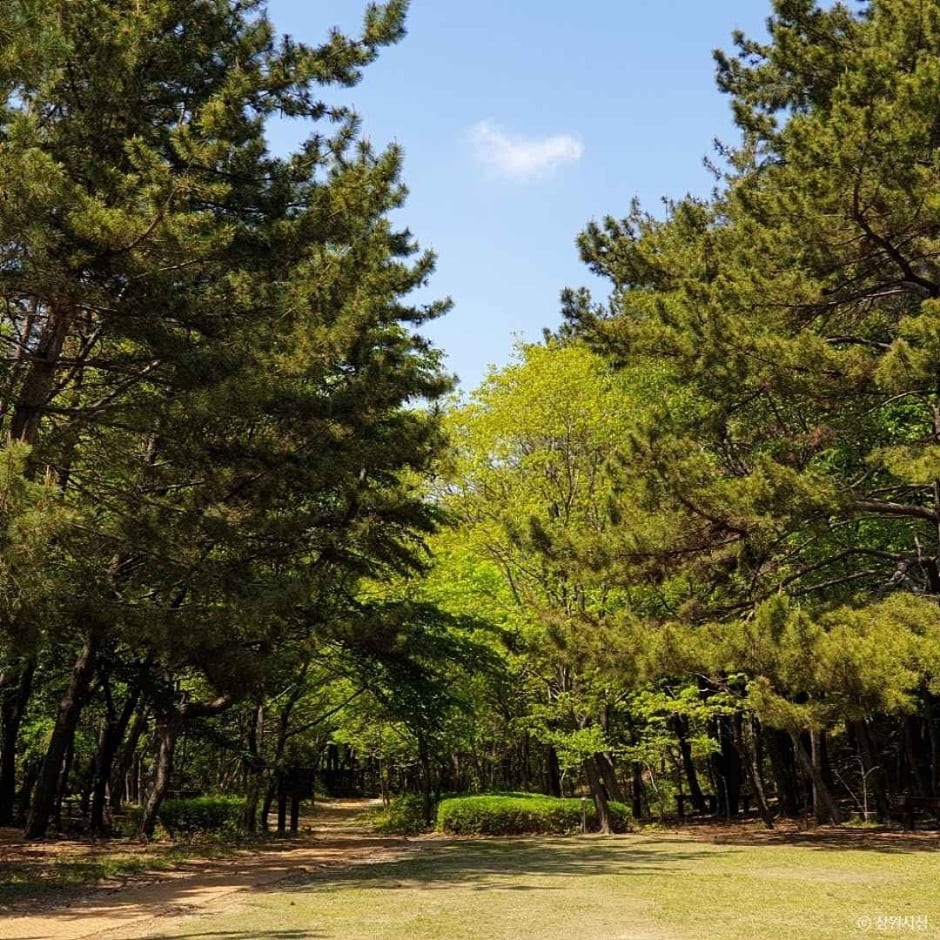 봉암수원지 여행 추천 - 로드트립