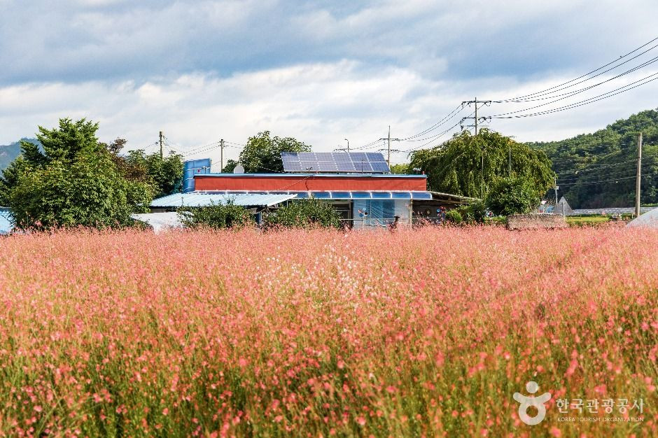 양구 국토정중앙배꼽마을 여행 추천 - 로드트립