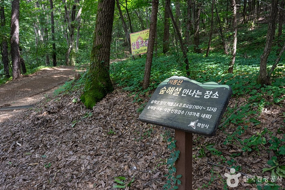 서봉산산림욕장 여행 추천 - 로드트립