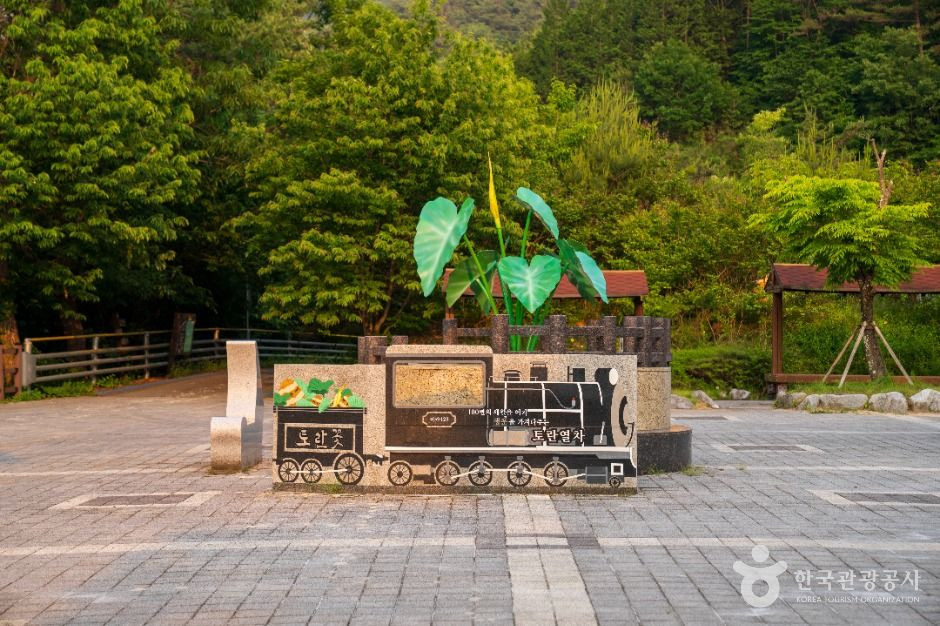 대황강출렁다리 여행 추천 - 로드트립