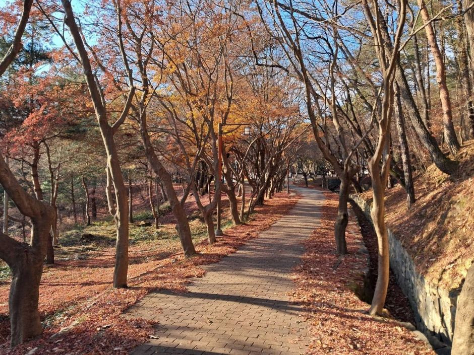부소산 여행 추천 - 로드트립