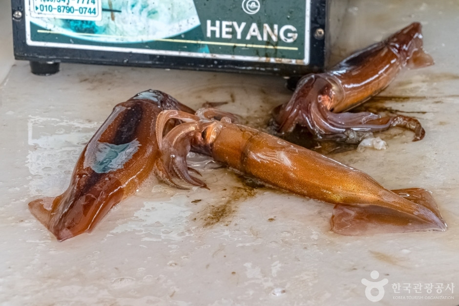 동명항오징어난전 여행 추천 - 로드트립