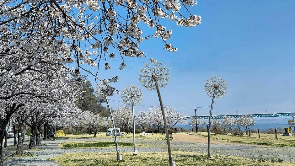 평택호관광단지 여행 추천 - 로드트립