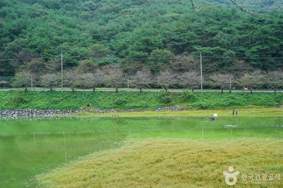 고남 저수지 여행 추천 - 로드트립