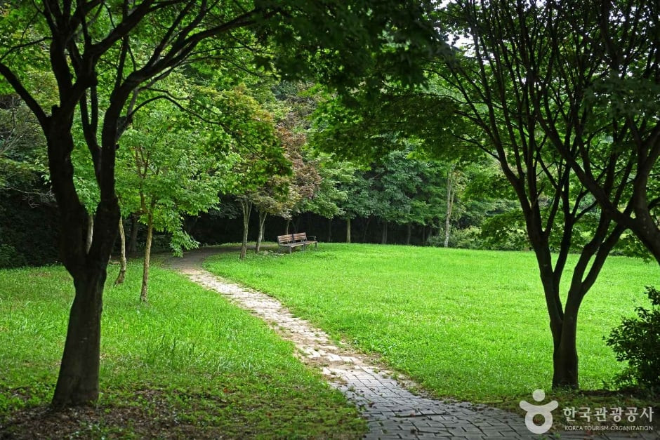 용두산 산림욕장 여행 추천 - 로드트립
