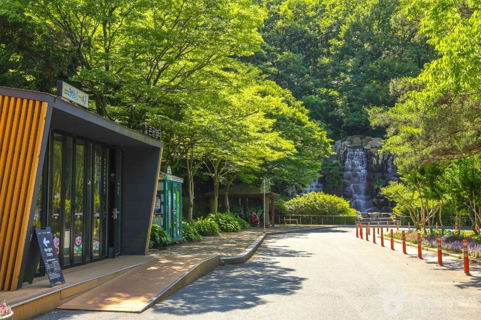 대구앞산공원 여행 추천 - 로드트립