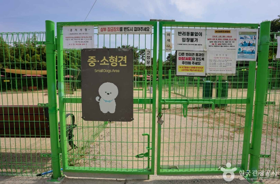 봉화재 반려견 놀이터 여행 추천 - 로드트립