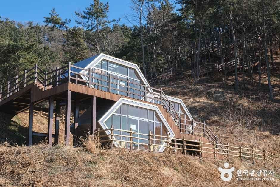국립익산치유의숲 여행 추천 - 로드트립