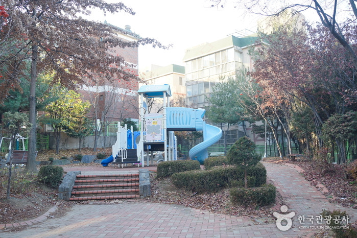 인천 신현동 회화나무 여행 추천 - 로드트립