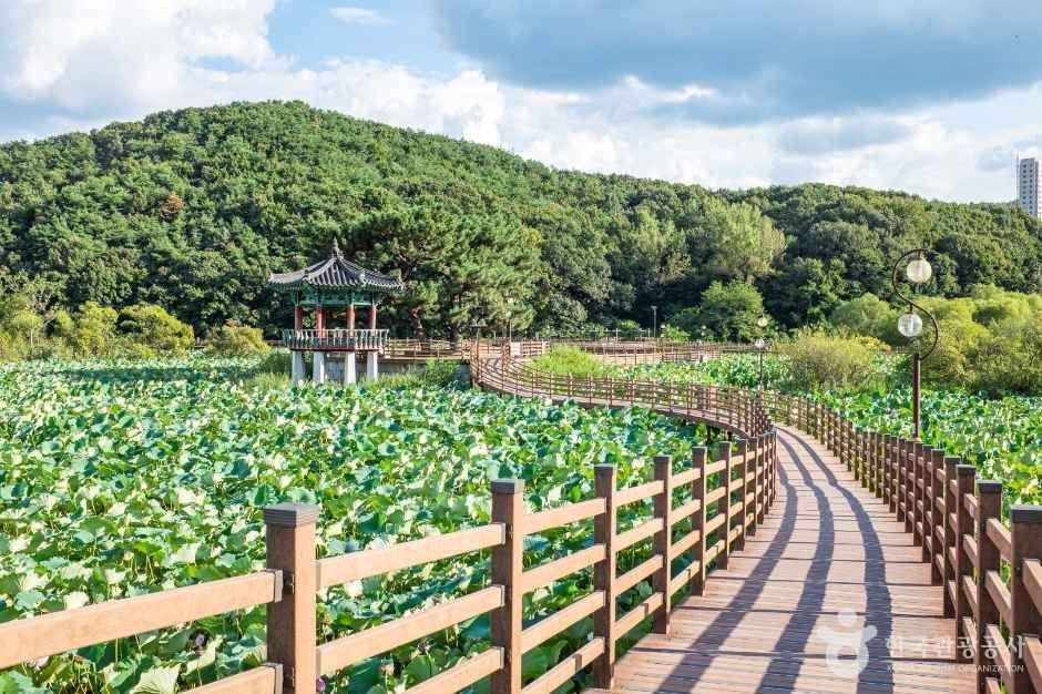 문성지 여행 추천 - 로드트립