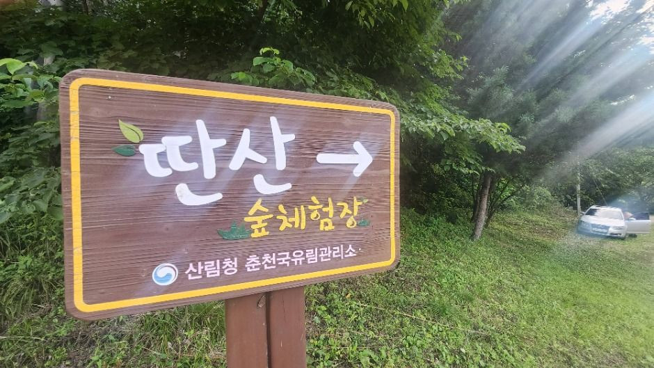 딴산 여행 추천 - 로드트립
