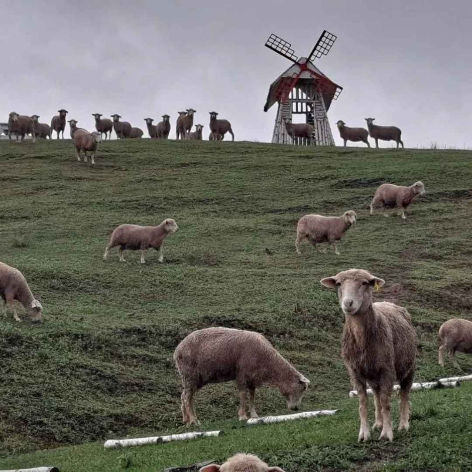 의야지 바람마을 하늘체험장 여행 추천 - 로드트립