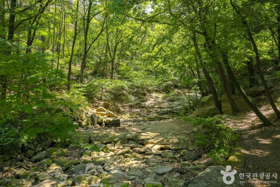 대구앞산공원 여행 추천 - 로드트립