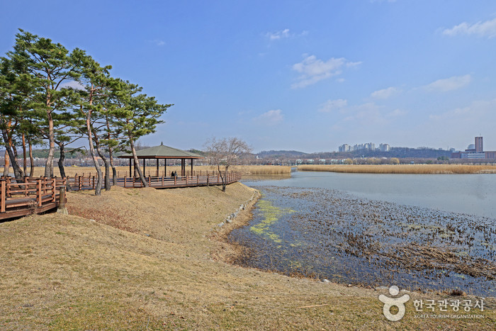 화랑유원지 여행 추천 - 로드트립