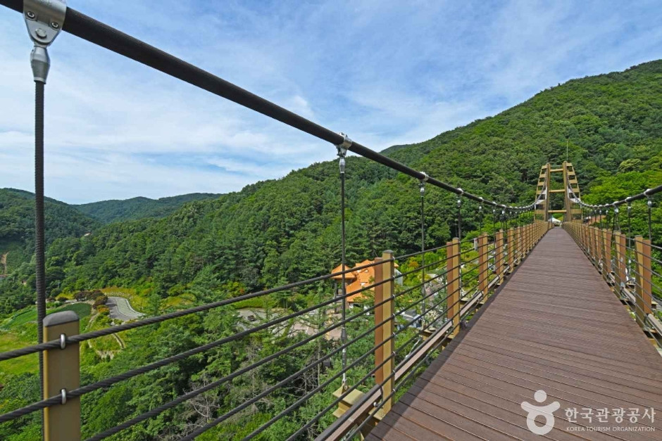 증평 좌구산 명상구름다리 여행 추천 - 로드트립
