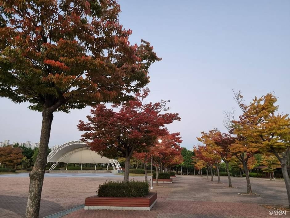 안산호수공원 여행 추천 - 로드트립