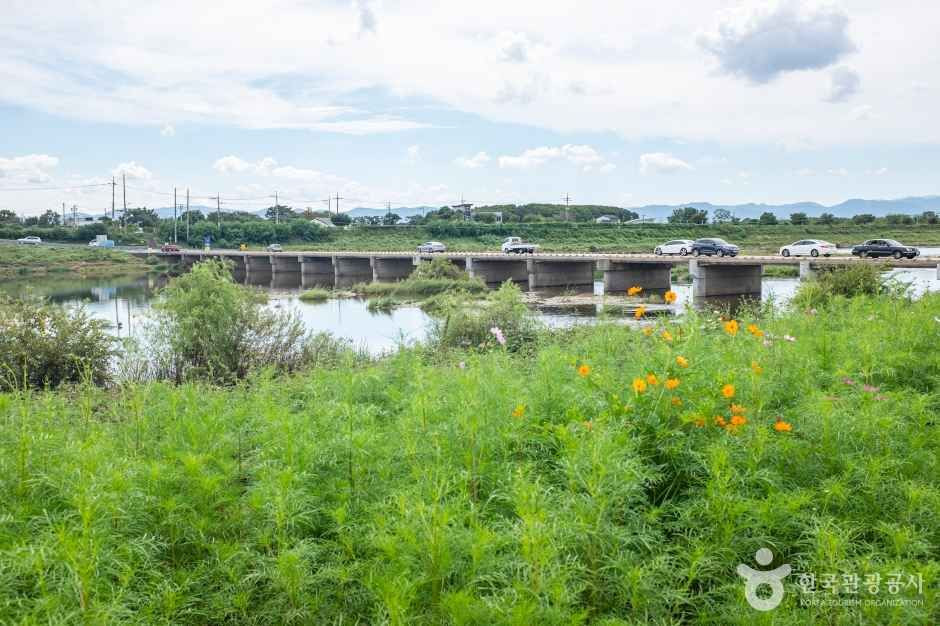 경산 하양경관농업단지 여행 추천 - 로드트립