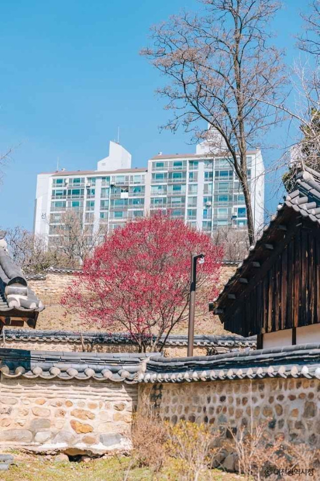 대전 회덕 동춘당 여행 추천 - 로드트립