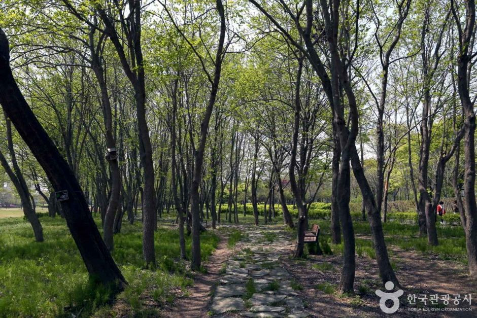 수풀로 양수리 여행 추천 - 로드트립