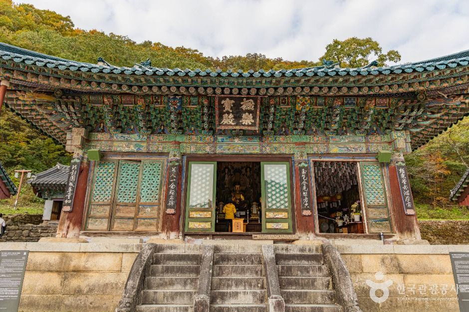 신흥사(설악산) 여행 추천 - 로드트립