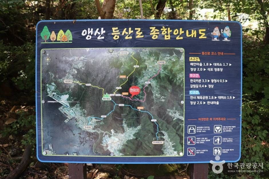 앵산 여행 추천 - 로드트립