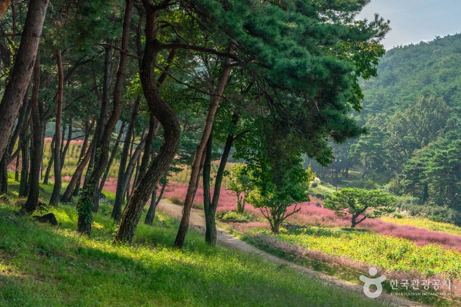 가산수피아 여행 추천 - 로드트립