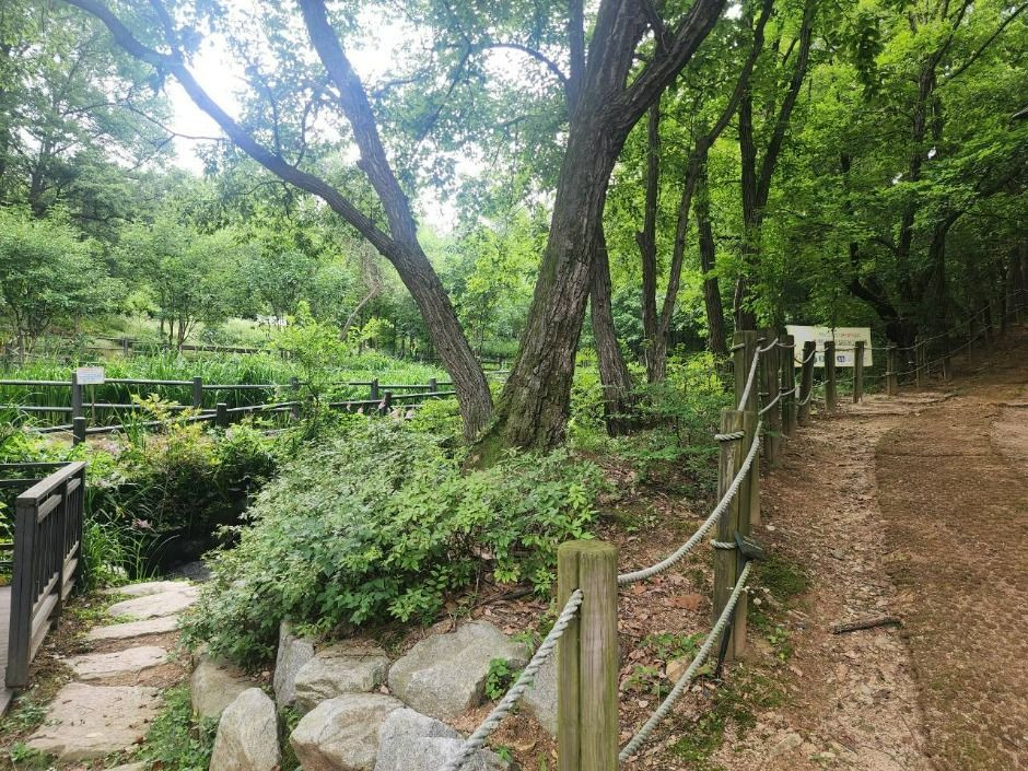 관악산 선우공원 여행 추천 - 로드트립
