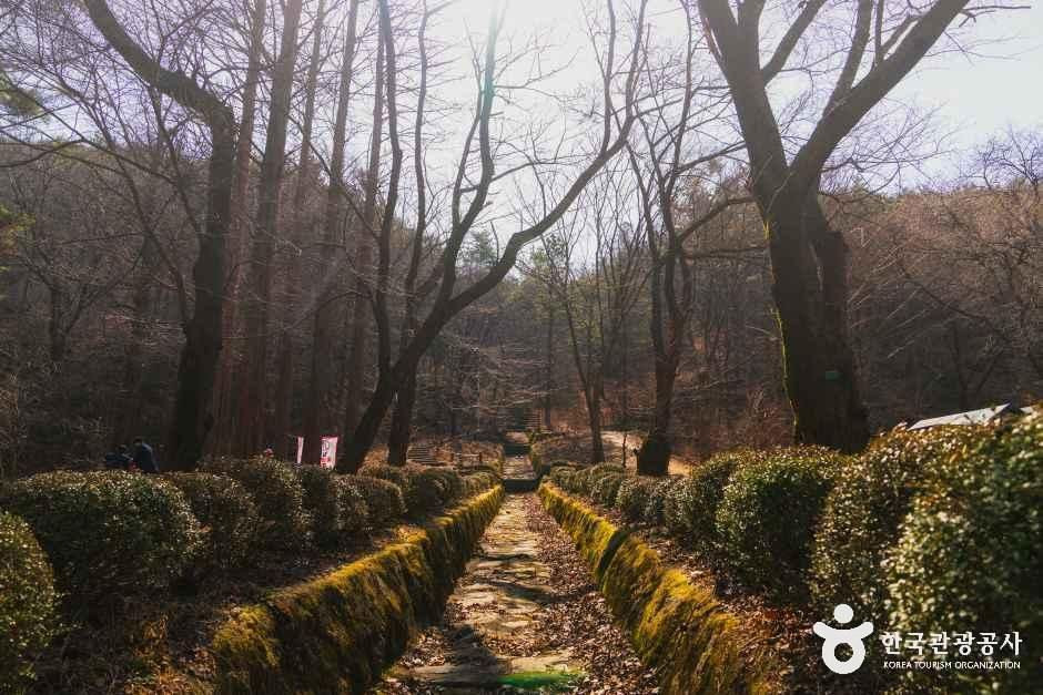 안양수목원 여행 추천 - 로드트립