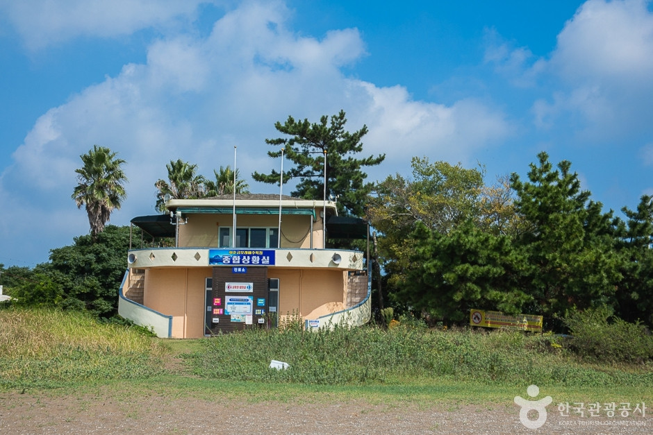 화순금모래해수욕장 여행 추천 - 로드트립
