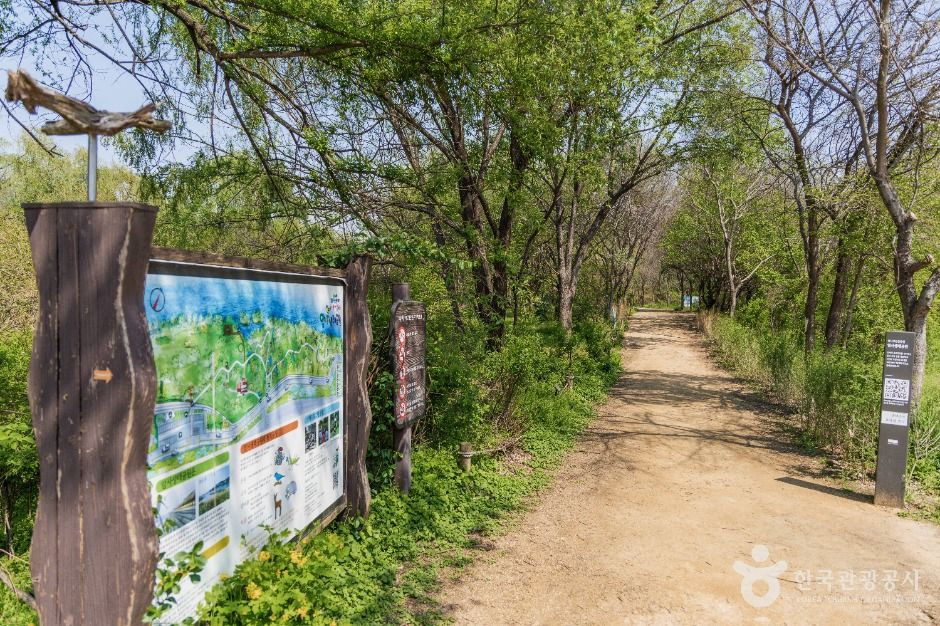 광나루한강공원 암사생태공원 여행 추천 - 로드트립