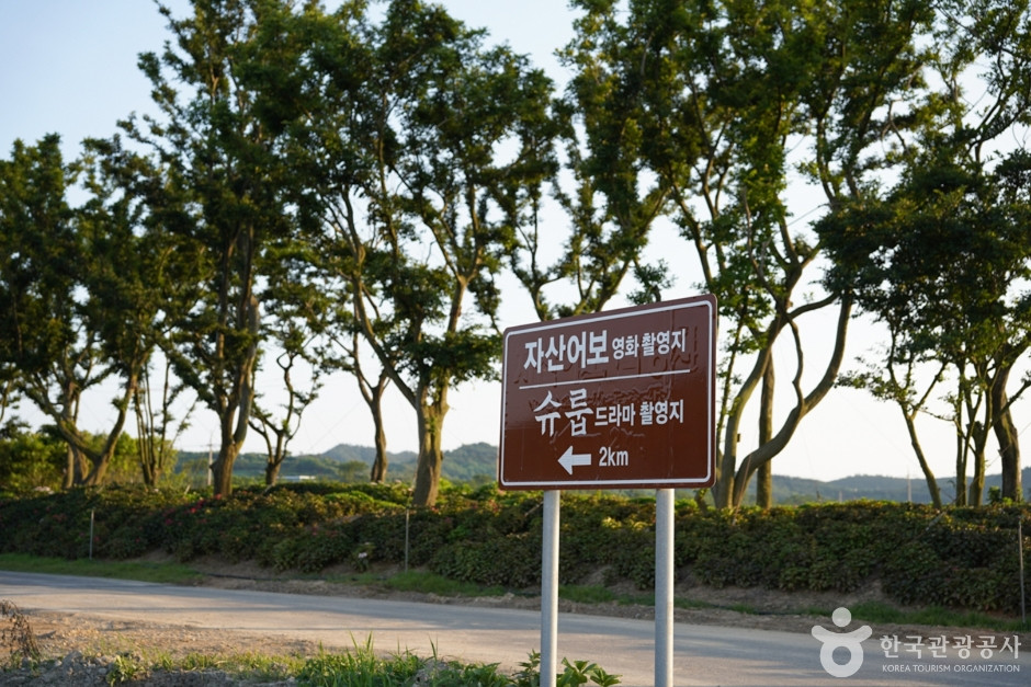 자산어보 촬영지 여행 추천 - 로드트립