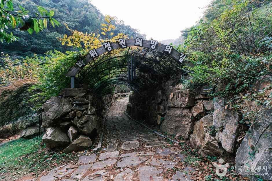 좌구산 자연휴양림 여행 추천 - 로드트립