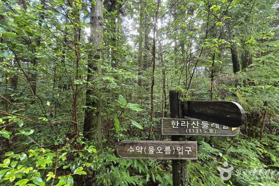 수악(물오름) 여행 추천 - 로드트립