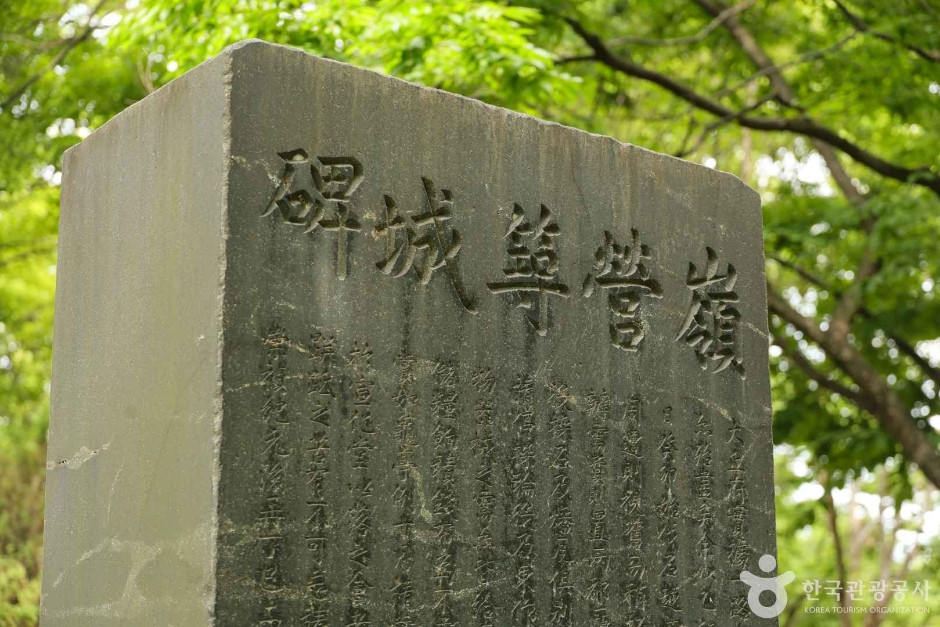 영영축성비 여행 추천 - 로드트립