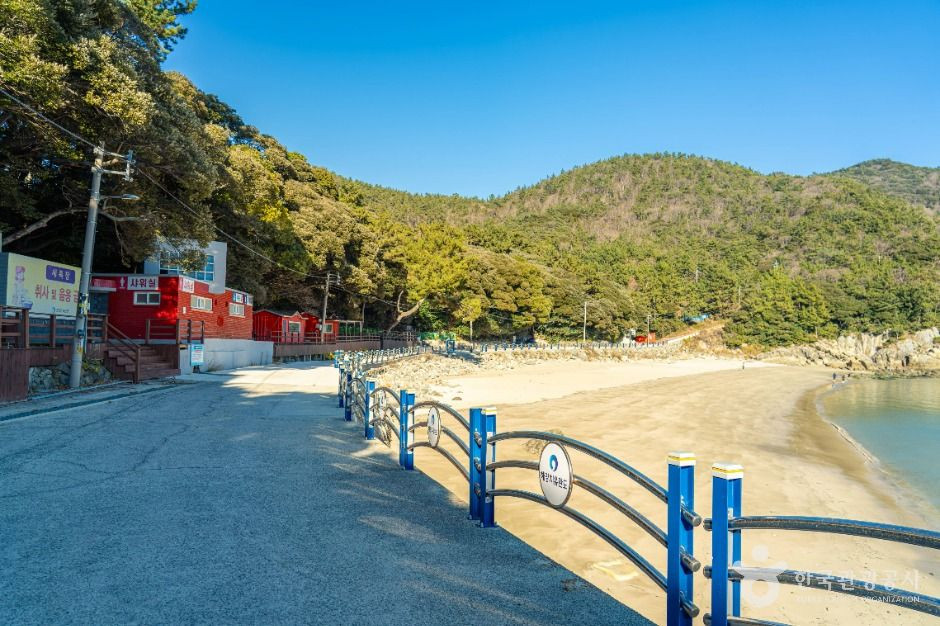 가사동백숲해변 여행 추천 - 로드트립