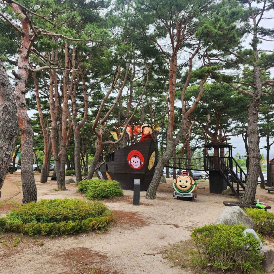 켄싱턴리조트 설악비치 여행 추천 - 로드트립