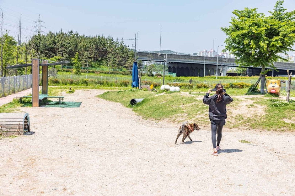 진주휴게소반려견놀이터 여행 추천 - 로드트립