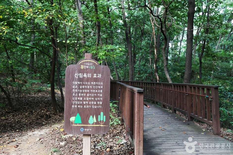 삼성산산림욕장 여행 추천 - 로드트립