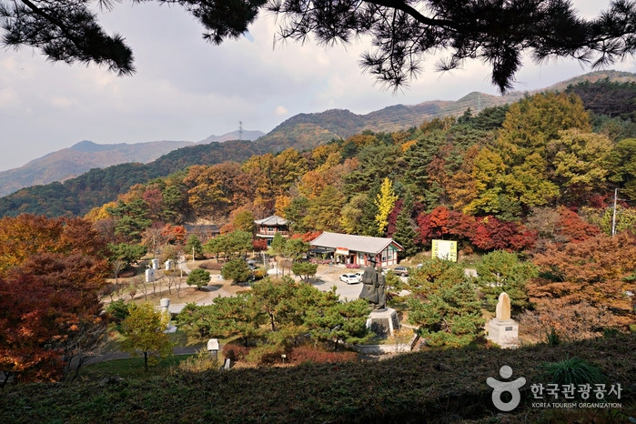 박달재목각공원 여행 추천 - 로드트립