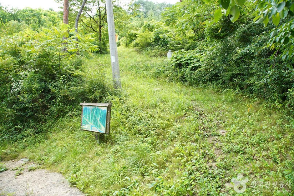 기우산(정선) 여행 추천 - 로드트립