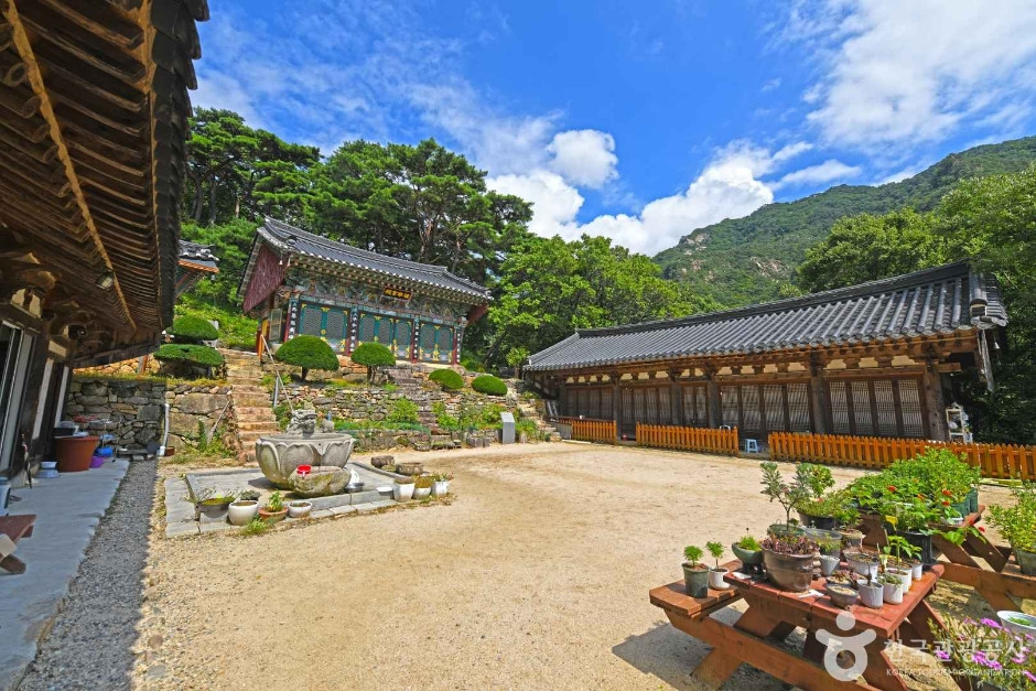 무암사 여행 추천 - 로드트립