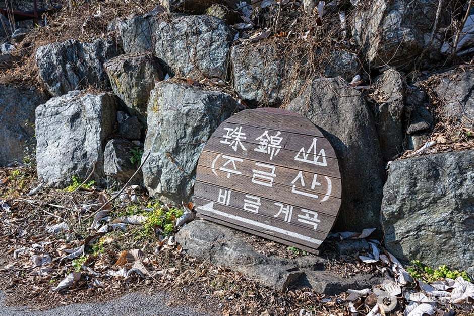 비금계곡 여행 추천 - 로드트립
