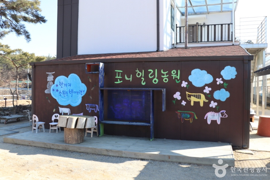 포니힐링관광농원 여행 추천 - 로드트립