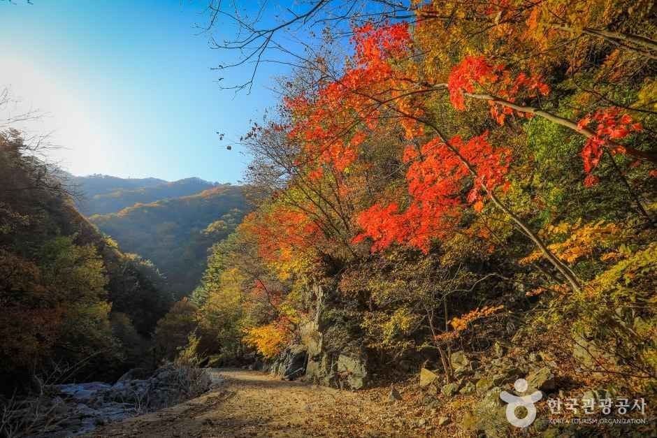 미천골계곡 여행 추천 - 로드트립