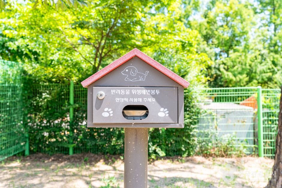 일산호수공원 반려견놀이터 여행 추천 - 로드트립