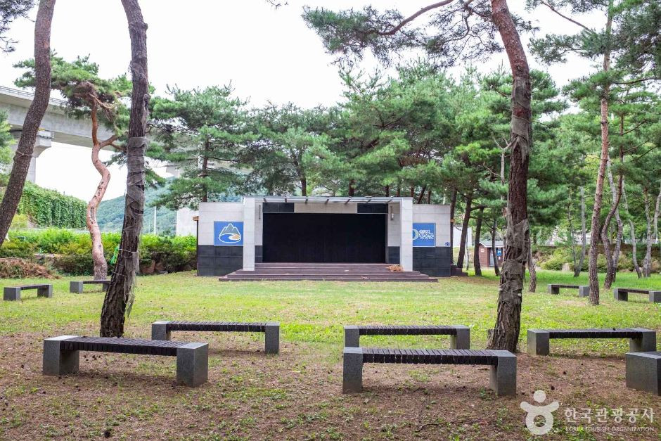 중평솔밭 여행 추천 - 로드트립