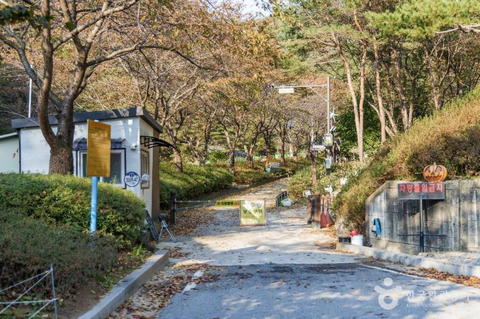 명지계곡 여행 추천 - 로드트립