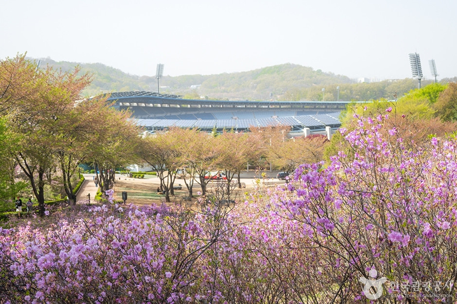 진달래동산 여행 추천 - 로드트립