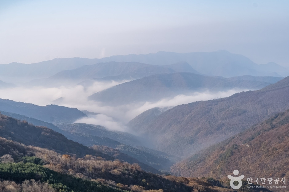 청옥산전망대 여행 추천 - 로드트립
