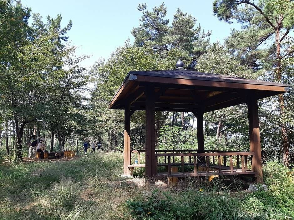 마천산산림욕장 여행 추천 - 로드트립